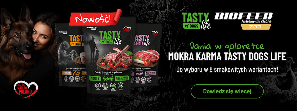 olej z łososia dla psa