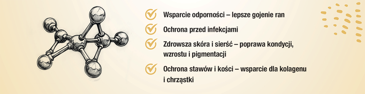 chelaty w diecie zwierząt