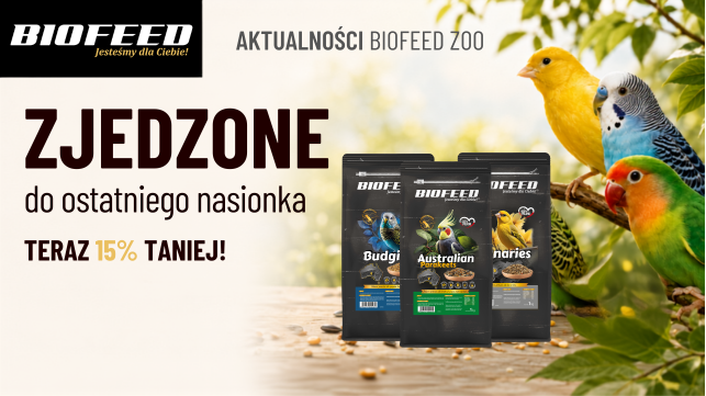Zjedzone do ostatniego nasionka – pokarmy premium dla ptaków 15% taniej